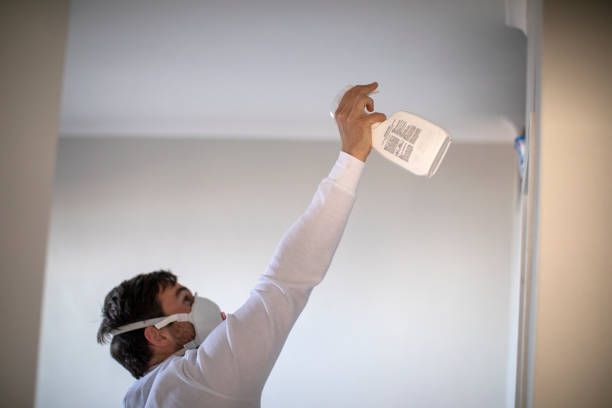 Best Mold Testing and Inspection Services in Davie, FL