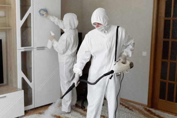 Best Residential Mold Remediation in Davie, FL